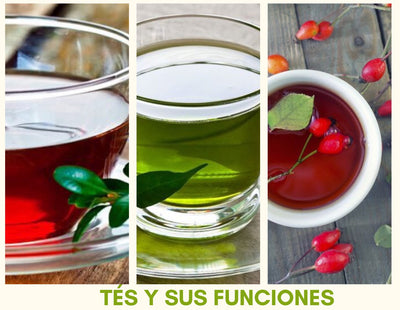 Tes y sus funciones