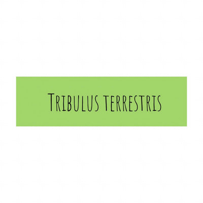 Tribulus Terrestris sus beneficios