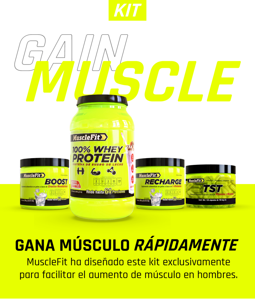 Gain Muscle - MuscleFit