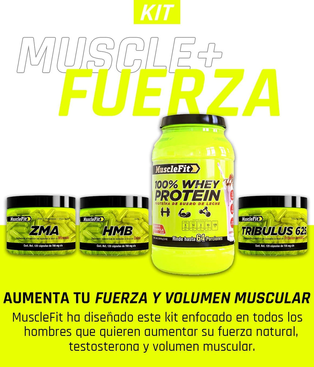 Muscle + Fuerza - MuscleFit