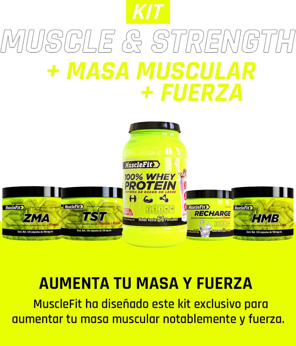 Muscle & Strength - MuscleFit
